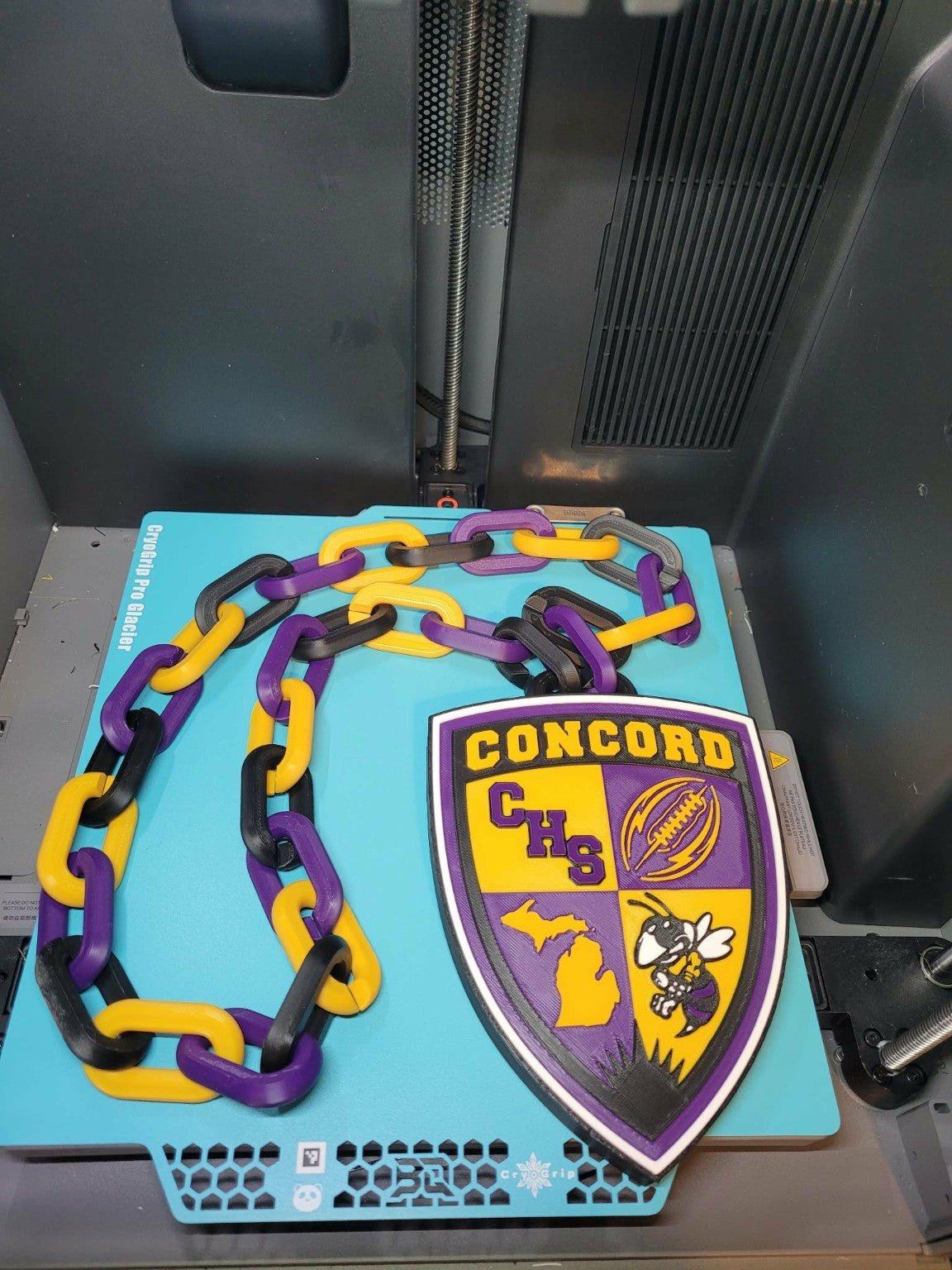 Custom Concord school hype chain with a purple and yellow crest pendant and matching chain