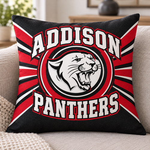 Addison Panthers square pillow cover mockup shown on an insert; insert not included