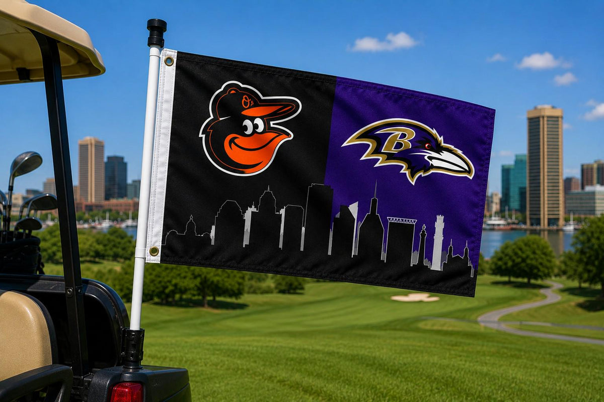 Baltimore Ravens Orioles Flag, Baltimore Sports Flag, Ravens Orioles Banner, Baltimore Skyline Flag, Mancave Wall Decor