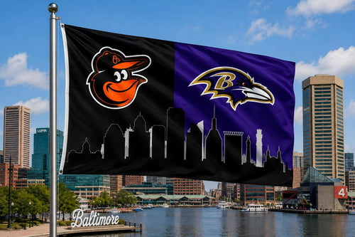 Baltimore Ravens Orioles Flag, Baltimore Sports Flag, Ravens Orioles Banner, Baltimore Skyline Flag, Mancave Wall Decor