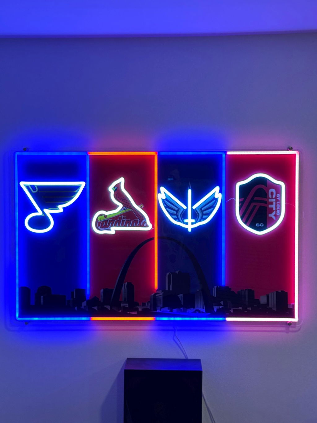 Real customer photo of the St. Louis skyline LED wall sign installed on a wall